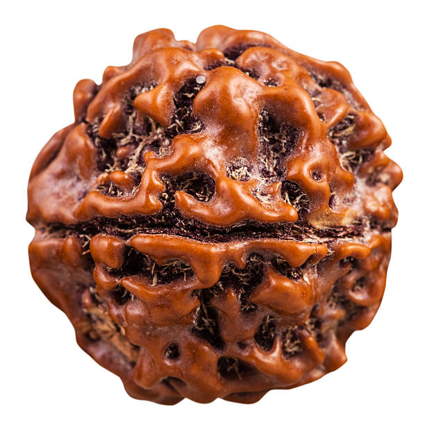 10 mukhi rudraksha benefits