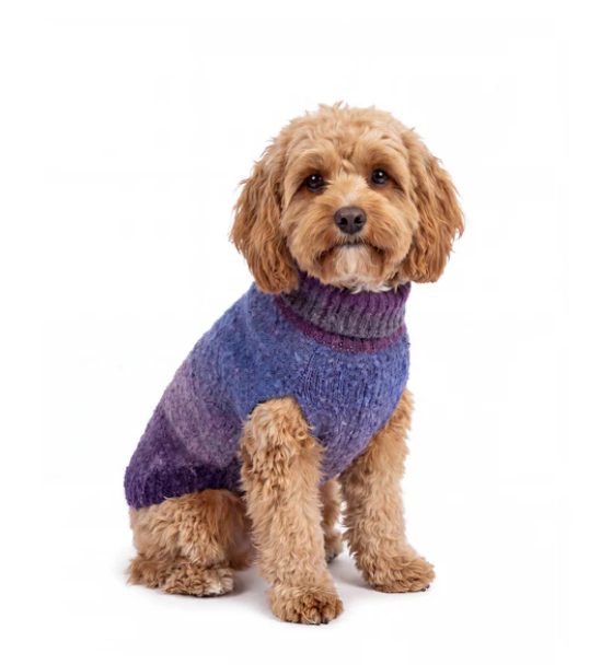 dog jumpers