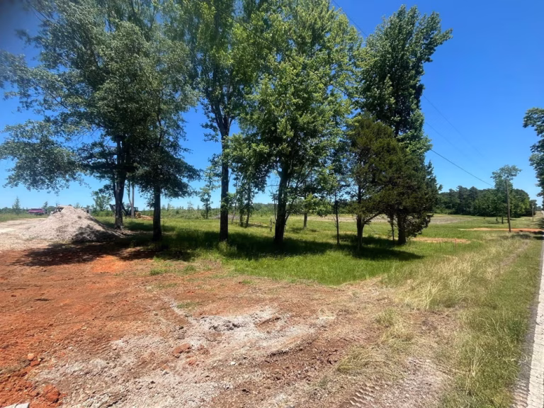 land clearing services near me