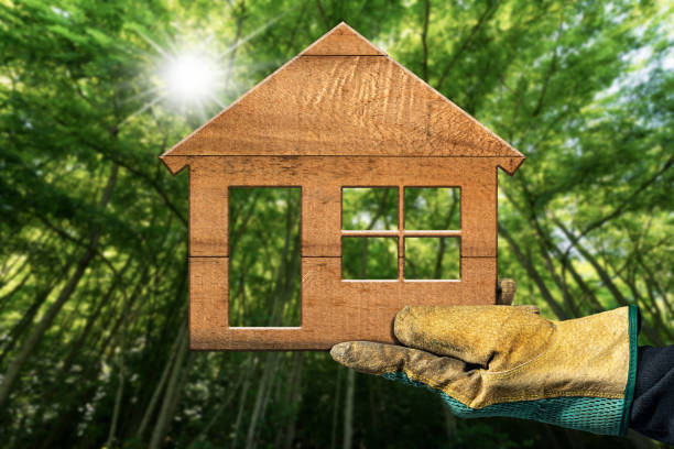 Green Home Services Austin